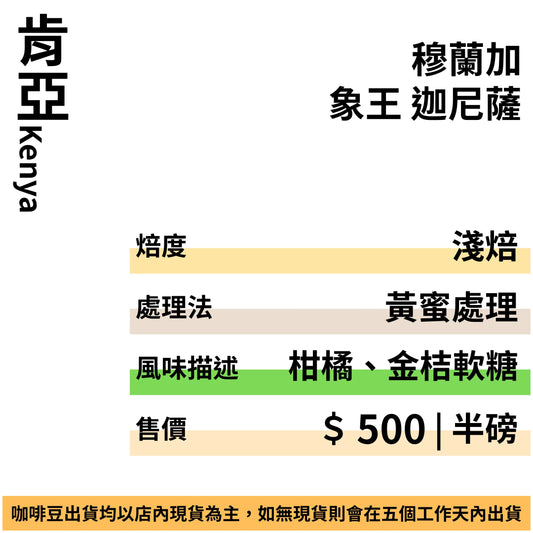 肯亞 穆蘭加 象王 迦尼薩 黃蜜處理